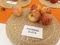 Obr: 37247.jpg