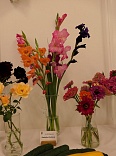 Obr: 43794.jpg