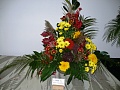 Obr: 5099.jpg