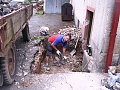 Obr: 11903.jpg