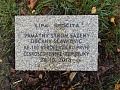 Obr: 29476.jpg