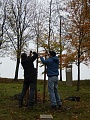 Obr: 29477.jpg