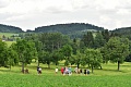 Obr: 29483.jpg