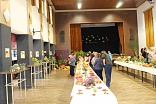Obr: 44114.jpg