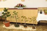 Obr: 44115.jpg