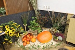 Obr: 44118.jpg