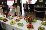 Obr: 44119.jpg