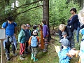 Obr: 9524.jpg
