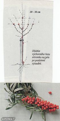 Obr: 48