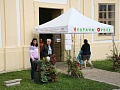 Obr: 1735.jpg