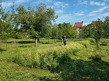 Obr: 2486.jpg