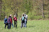 Obr: 2719.jpg