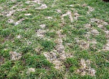 Obr: 2959.jpg