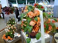 Obr: 14460.jpg