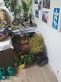 Obr: 40239.jpg