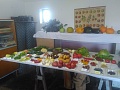 Obr: 40254.jpg