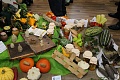 Obr: 23039.jpg