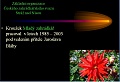 Obr: 24110.jpg