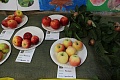 Obr: 28112.jpg