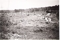 Obr: 1994.jpg