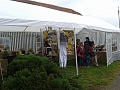 Obr: 31092.jpg