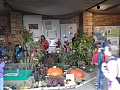 Obr: 31093.jpg