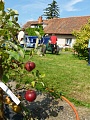 Obr: 31134.jpg
