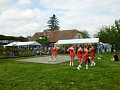 Obr: 31139.jpg