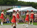 Obr: 31141.jpg