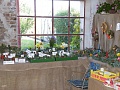 Obr: 31903.jpg