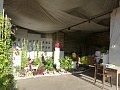 Obr: 32033.jpg