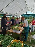 Obr: 44713.jpg