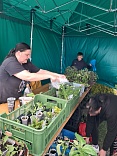 Obr: 49404.jpg