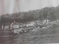 Obr: 40994.jpg