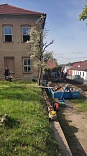 Obr: 44464.jpg