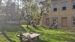Obr: 44465.jpg