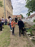 Obr: 44743.jpg