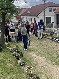 Obr: 44746.jpg