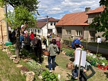 Obr: 48443.jpg