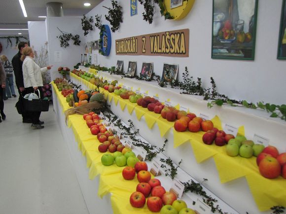 Obr: 7586.jpg