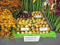 Obr: 7590.jpg