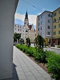 Obr: 52553.jpg