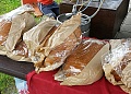 Obr: 16297.jpg