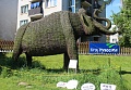 Obr: 39373.jpg