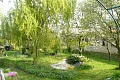 Obr: 11412.jpg