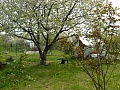 Obr: 11419.jpg