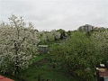 Obr: 2359.jpg
