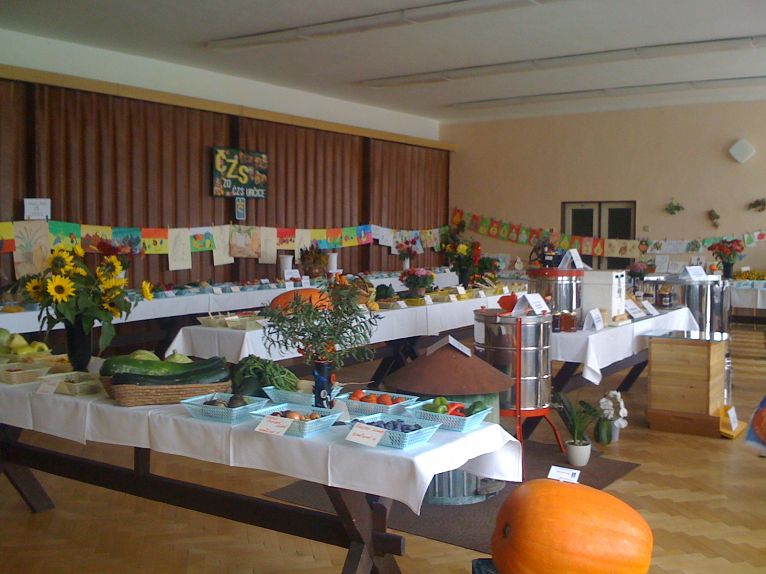 Výstava 2011