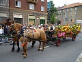 Obr: 10944.jpg