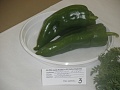 Obr: 5826.jpg